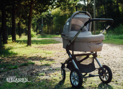 Kinderwagen im Wald
