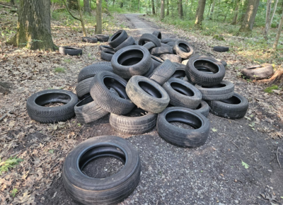 Reifen liegen im Wald