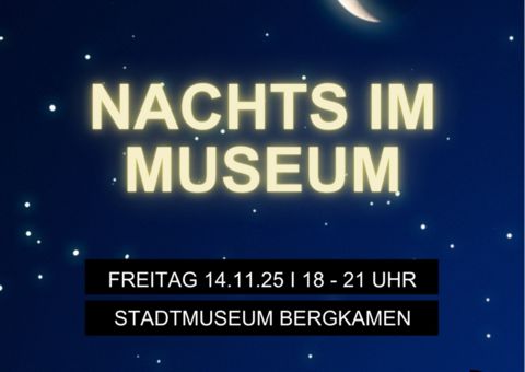 Plakat Nacht im Museum