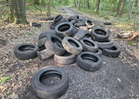 Reifen liegen im Wald