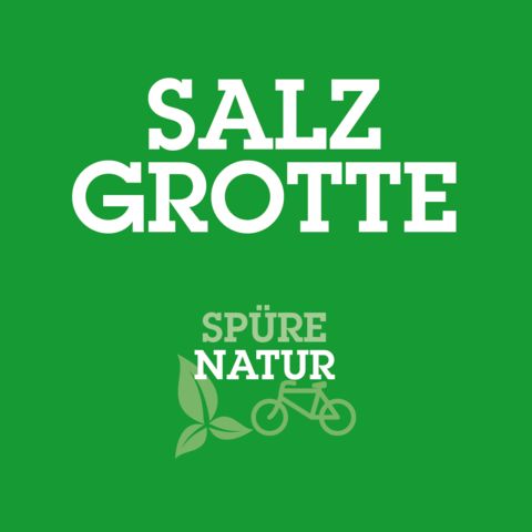 Logo Salzgrotte