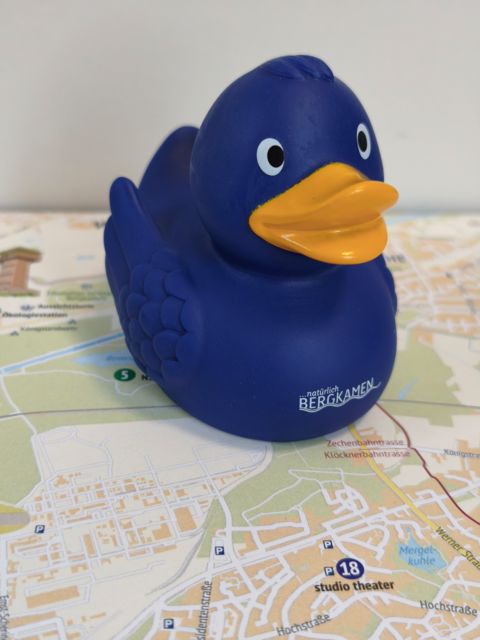 Stad-Ente