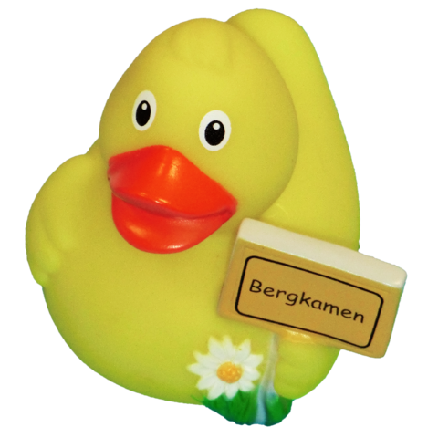 Stadt-Ente