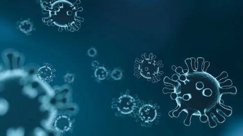 Aktuelle Informationen zum Corona-Virus