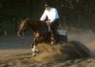Western horseback riding