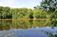Beversee