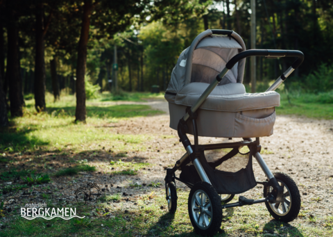 Kinderwagen im Wald