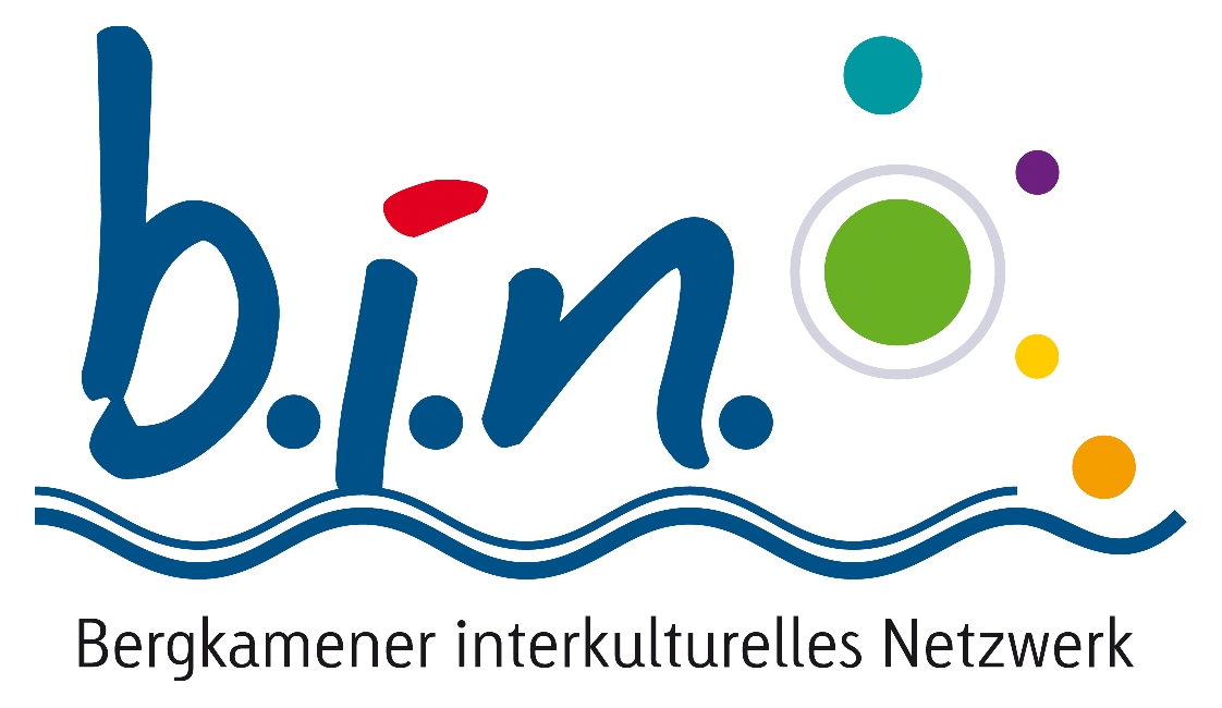 b.i.n. Logo
