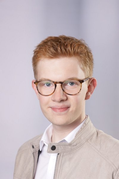 Porträt Höll, Alexander